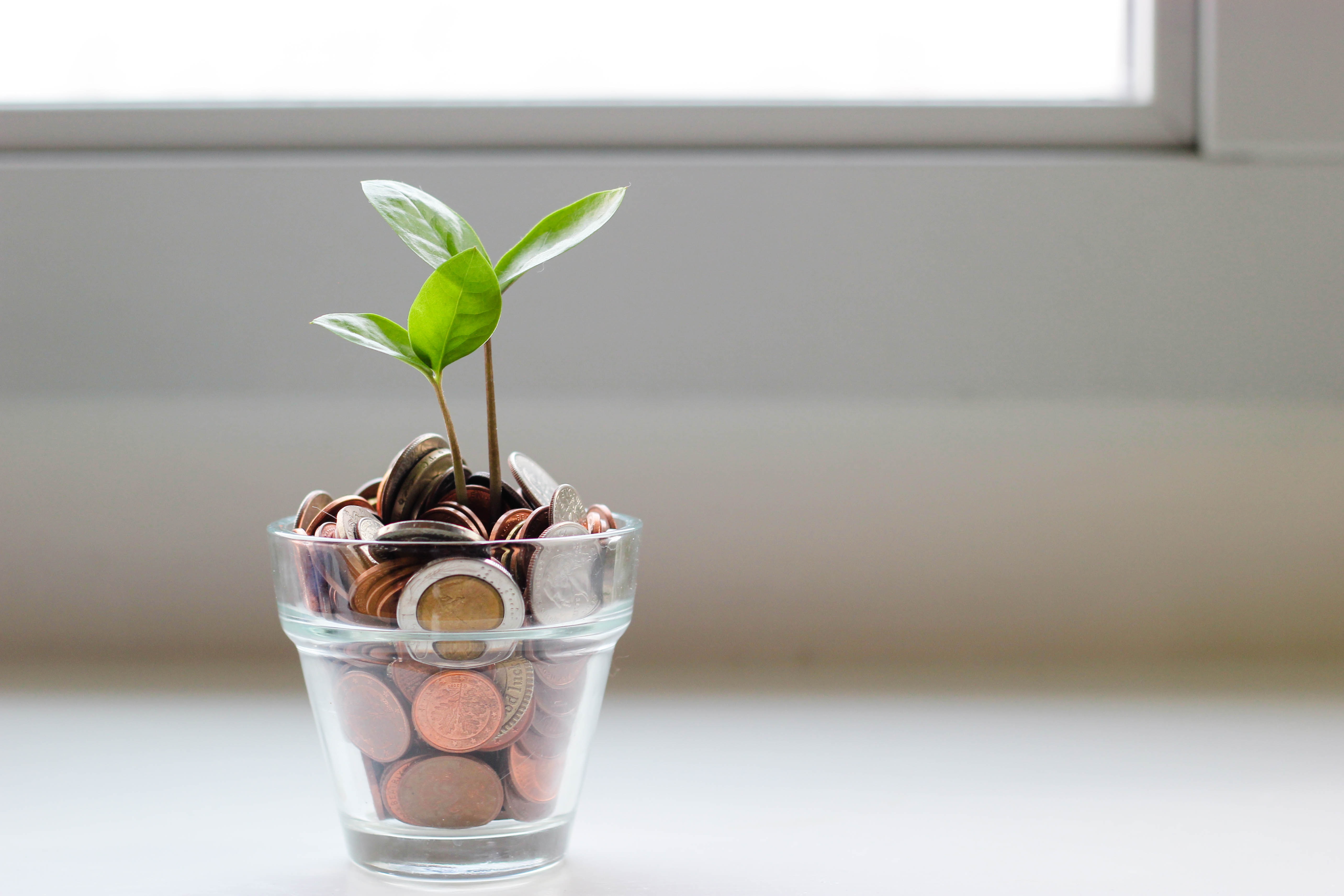 Venture capital: 6 tips for investors