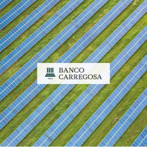 5 mitos do investimento verde
