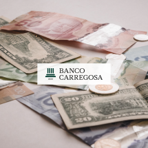 7 dicas para escolher empresas que distribuem dividendos