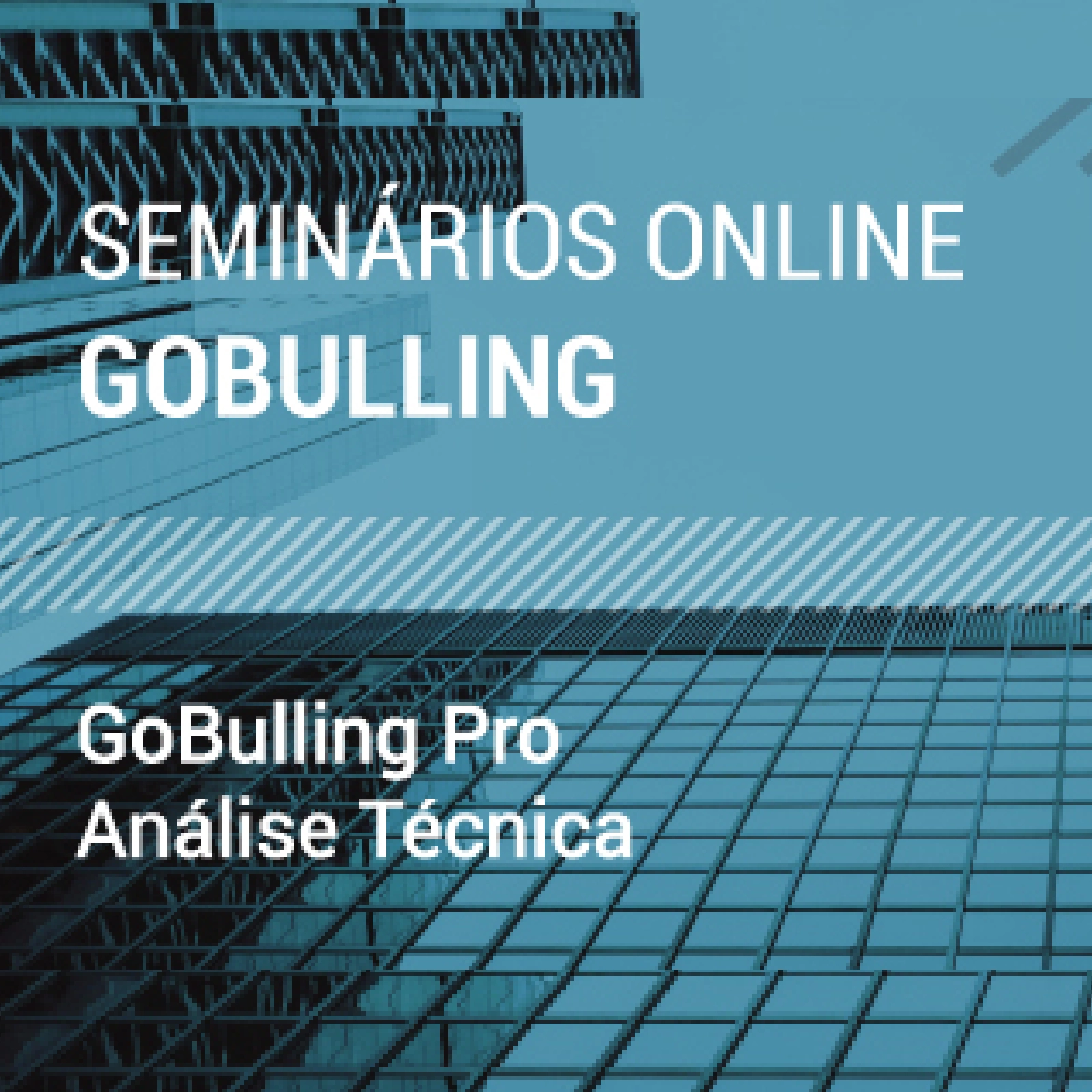 Imagem patrocinadora dos Seminários Online GoBulling