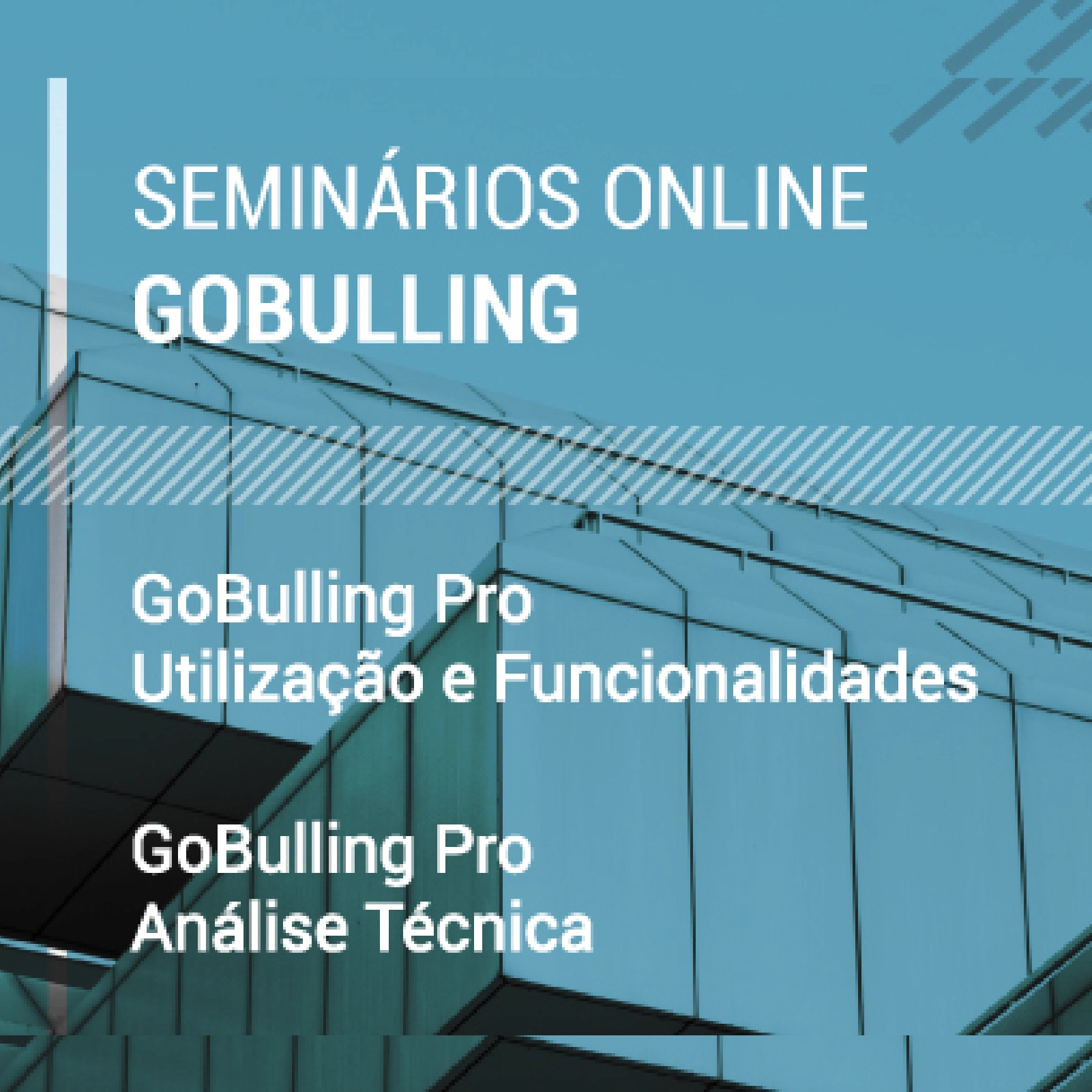 Imagem patrocinadora GoBulling Pro - Utilização e Funcionalidades