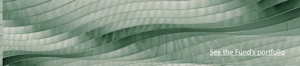 Distorted stairs, symbolizing the flexibility and adaptation of the investment fund portfolio to maximize returns