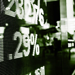 Illustration of Banco Carregosa complete investment portfolio