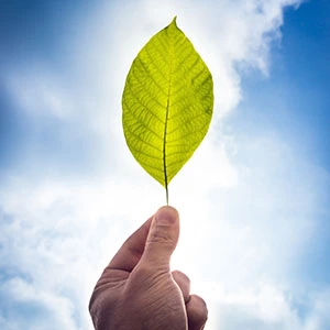 Featured image of Banco Carregosa investment funds