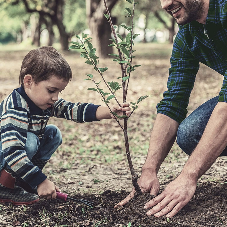 Pai e filho a plantar num jardim, simbolizando um futuro seguro