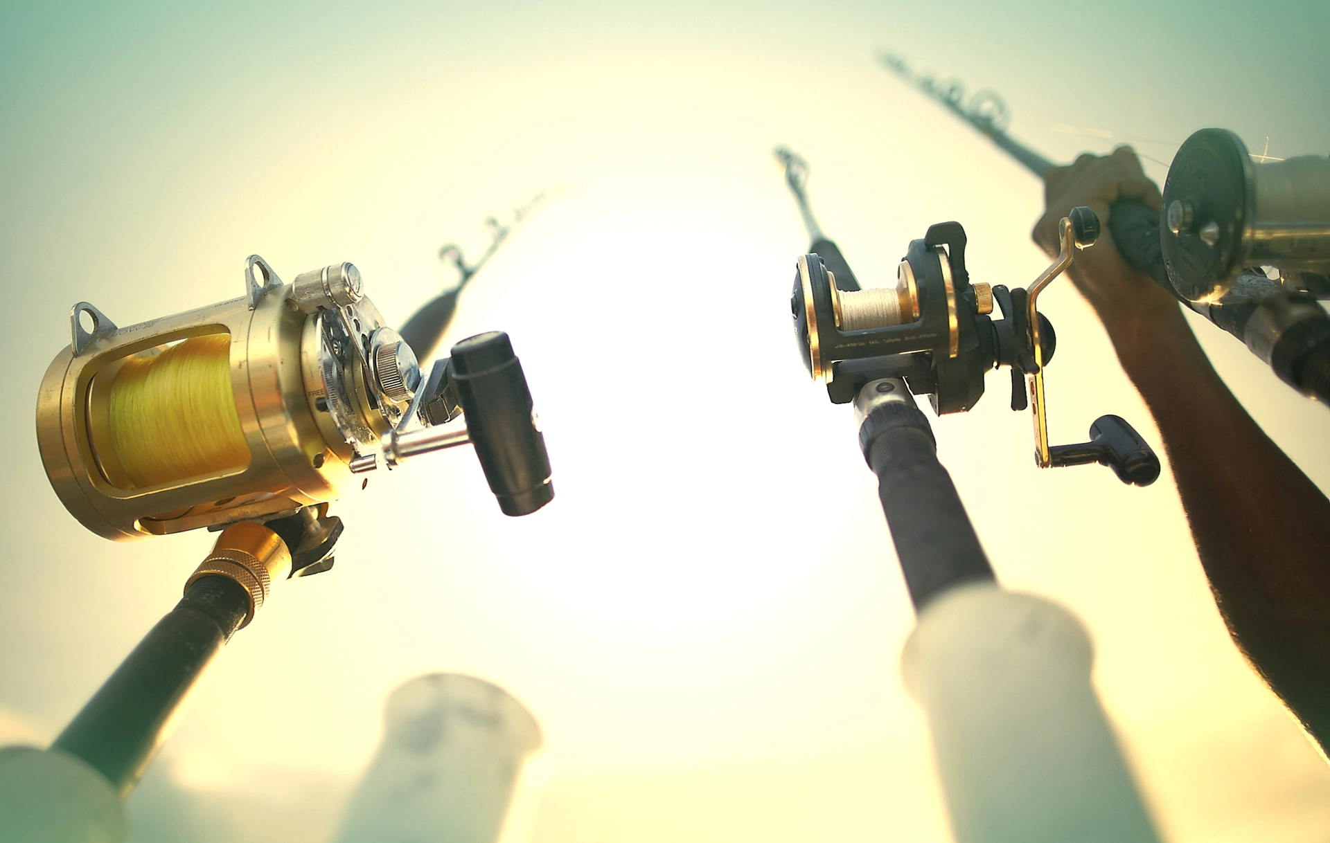Duas canas de pesca, que simbolizam o continuo acompanhamento do cliente, uma prática rigorosa seguida pelo Banco Carregosa