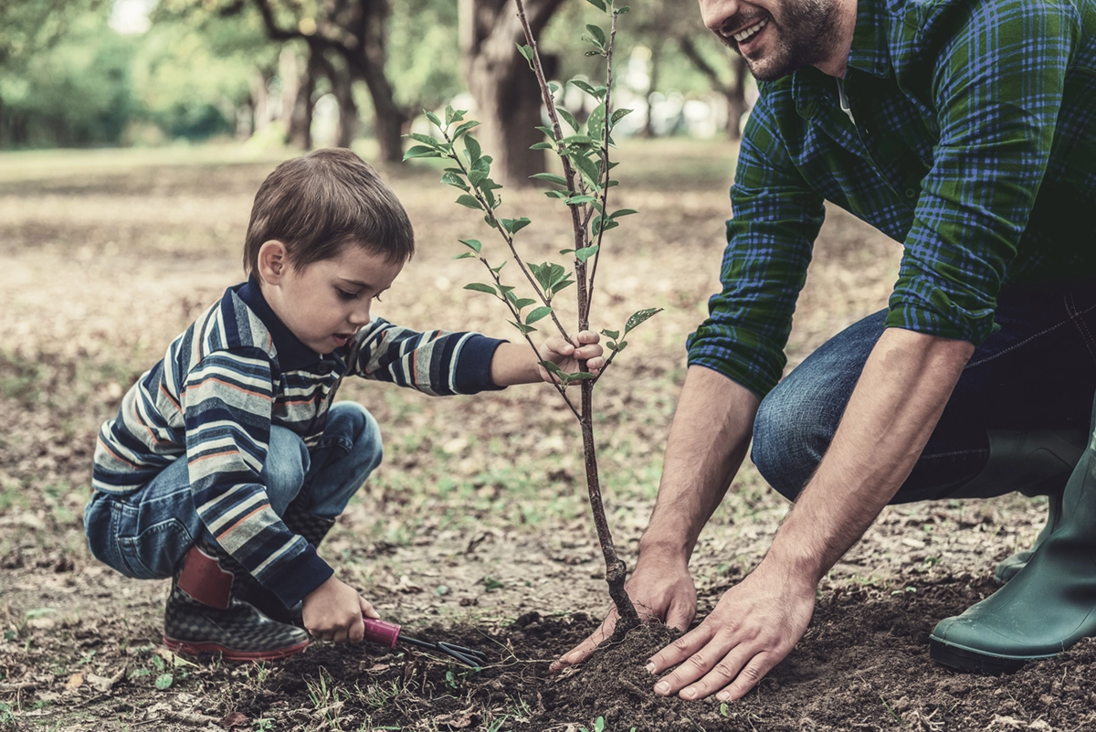 Pai e filho a plantar num jardim, simbolizando um futuro seguro
