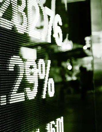 Client profile. Banco Carregosa tailors investment strategy to their interests