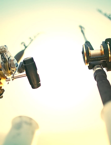 Fishing rods symbolise Banco Carregosa's continuous client support.