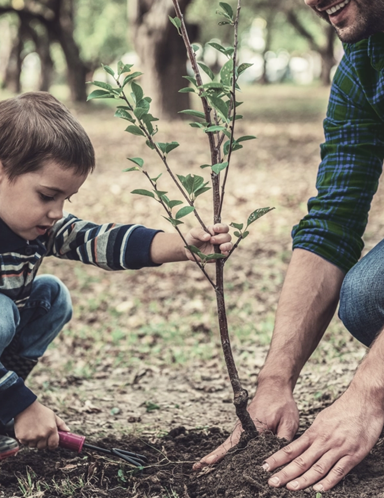Father and son planting in a garden, symbolizing a secure future